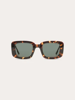 Avery Sunglasses - Havana