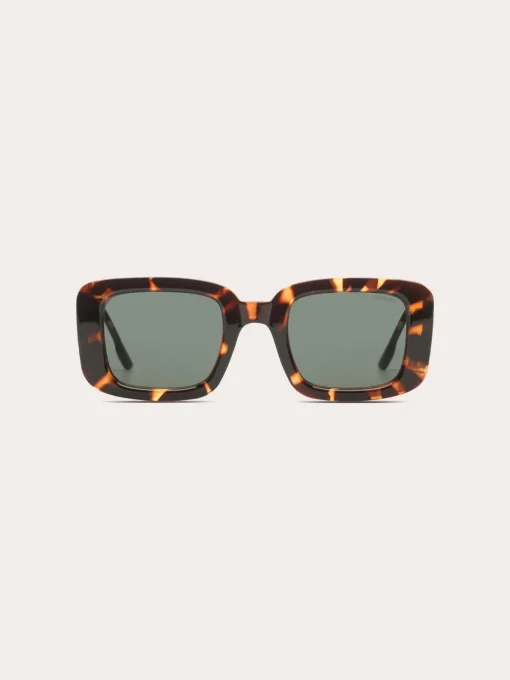 Avery Sunglasses - Havana
