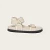 Flower Beige