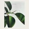 Green Home Book