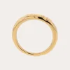 The Minimalist - Gold